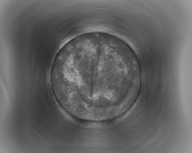 X0000115131521200911241435