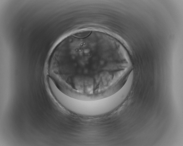 X0000115131522200911241435