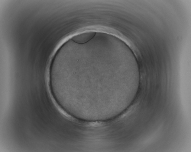 X0000115131523200911241435