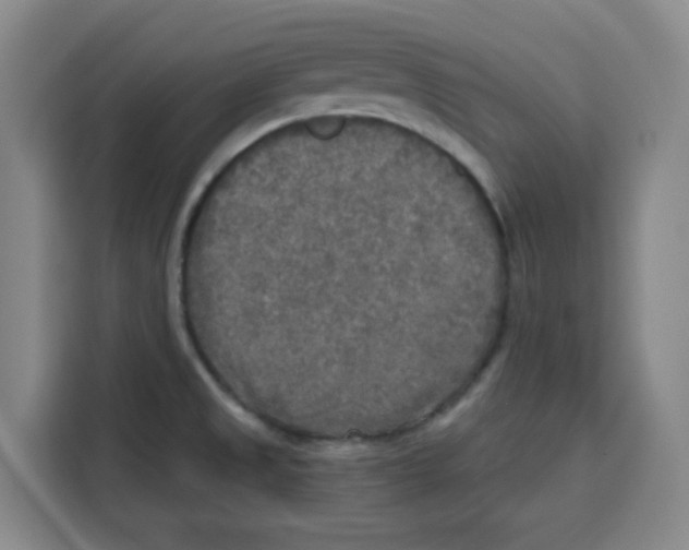 X0000115131525200911241435