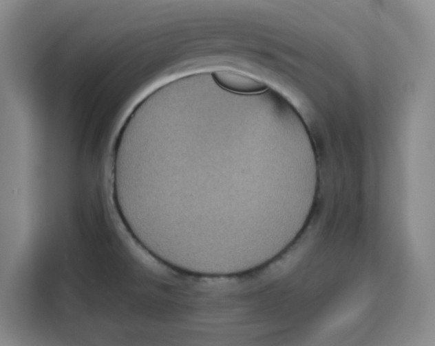 X0000115131526200911241435