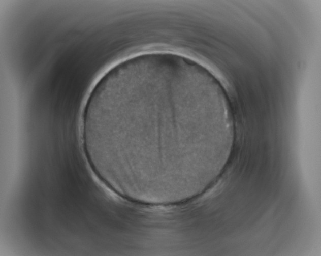 X0000115131527200911241435