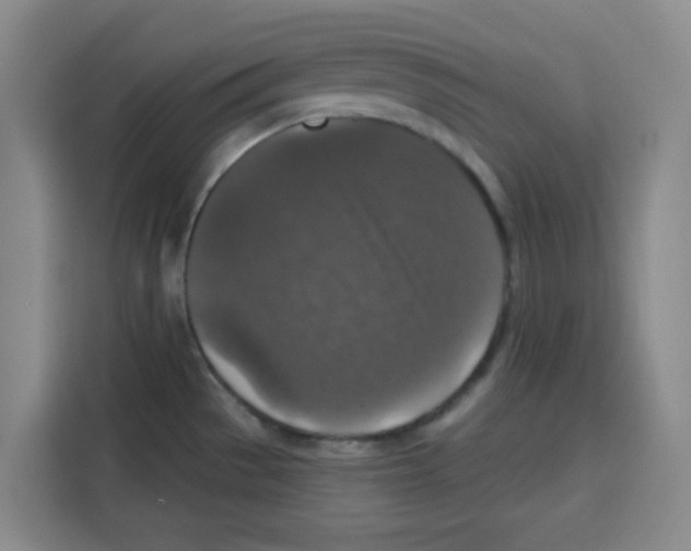 X0000115131529200911241435