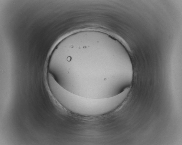 X0000115131530200911241435