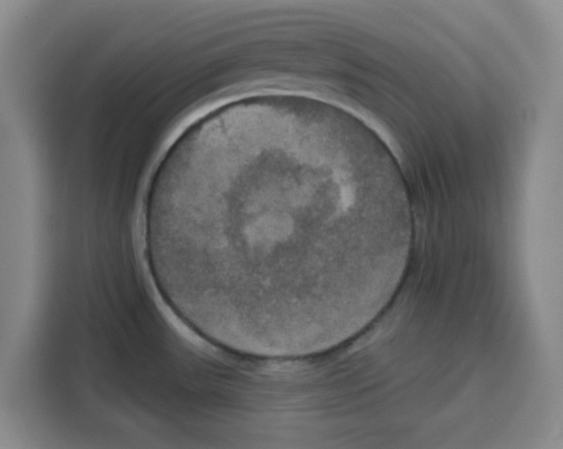 X0000115131531200911241435