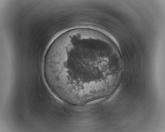 X0000115131533200911241435