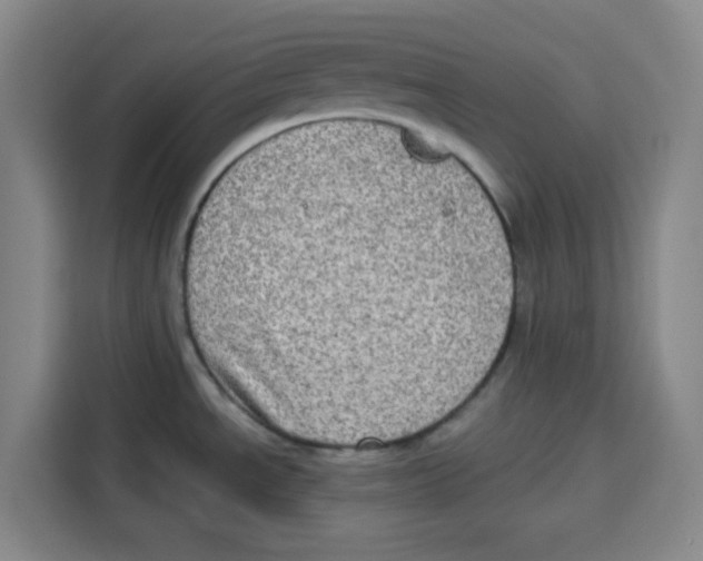 X0000115131534200911241435