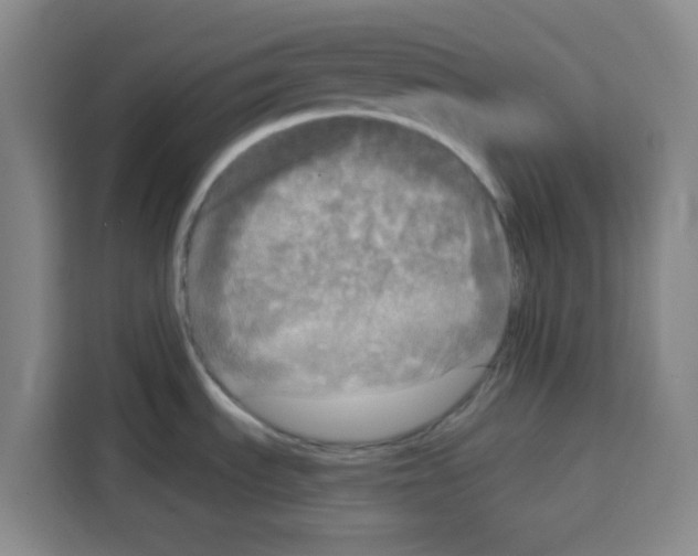 X0000115131535200911241435