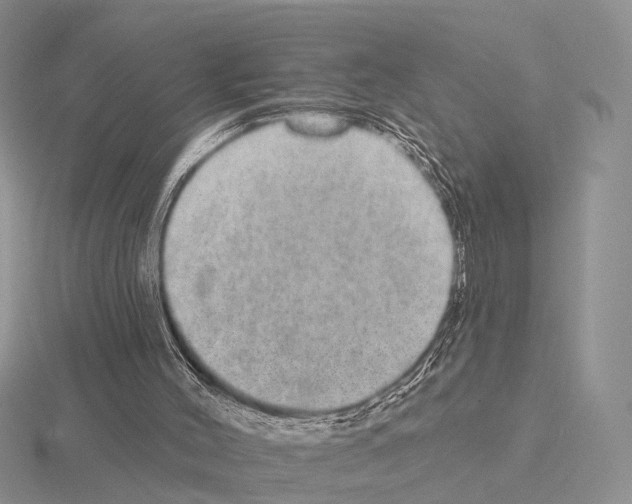 X0000115130004200912081315