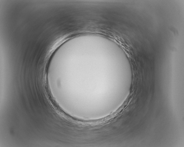 X0000115130005200912081315
