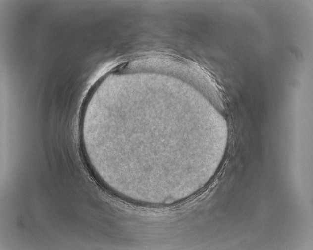 X0000115130008200912081315