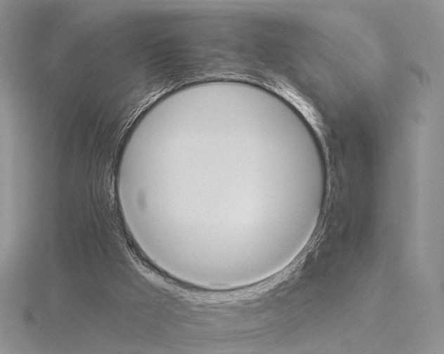 X0000115130009200912081315