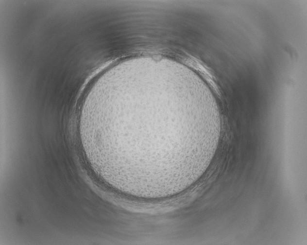 X0000115130012200912081314