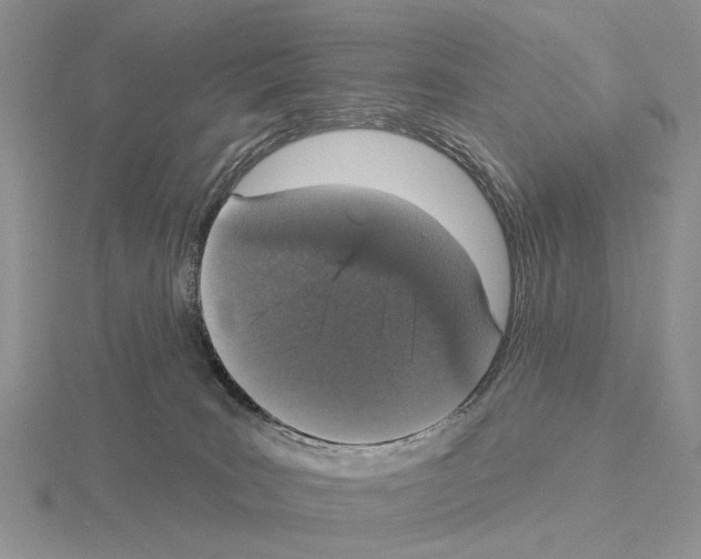 X0000115130035200912081314
