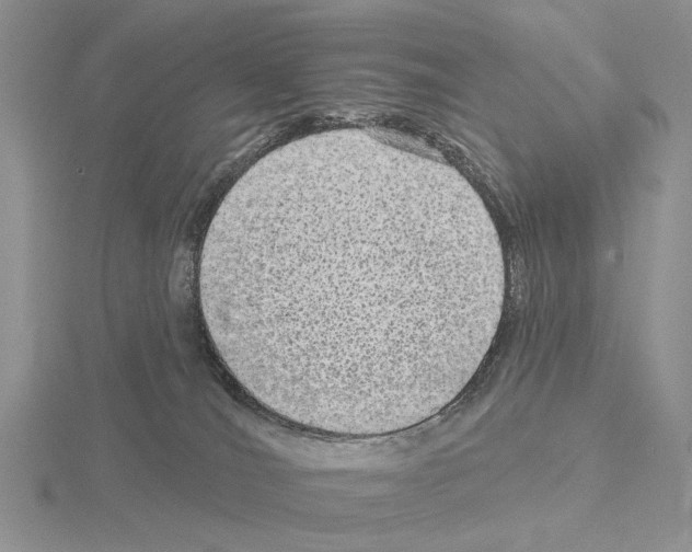 X0000115130036200912081314