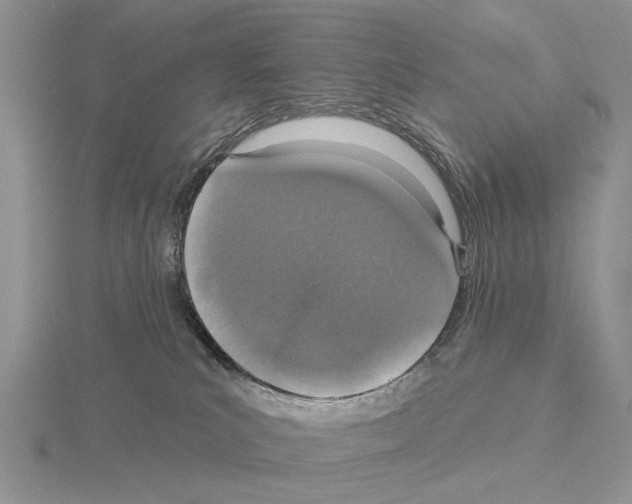 X0000115130039200912081314