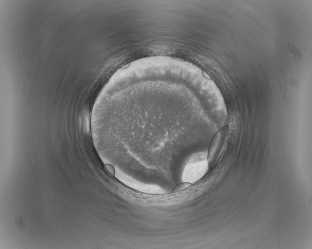 X0000115130046200912081314