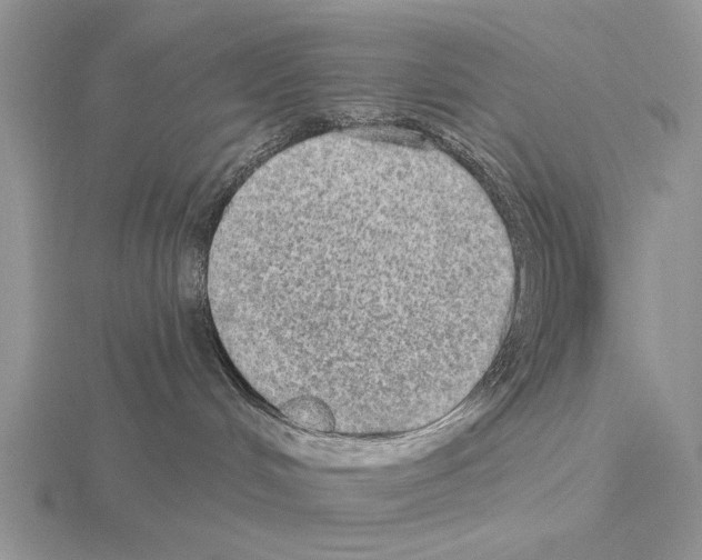X0000115130048200912081314