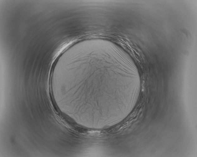 X0000115130052200912081313