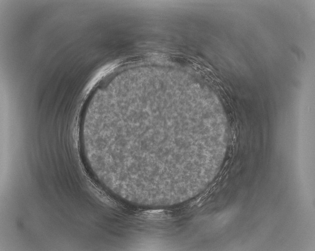 X0000115130054200912081313