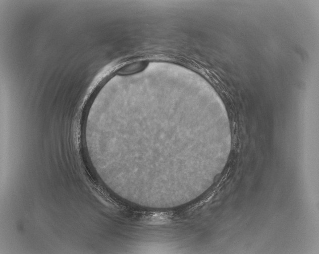 X0000115130056200912081313