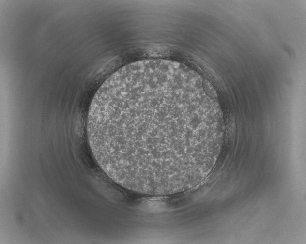 X0000115130078200912081314