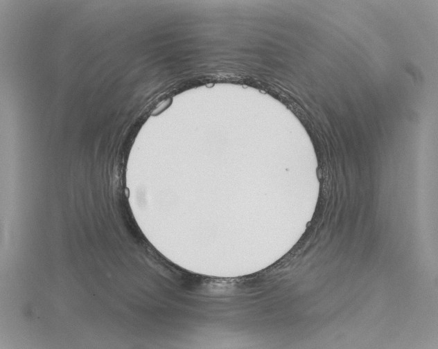 X0000115130084200912081314