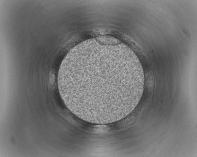 X0000115130087200912081314