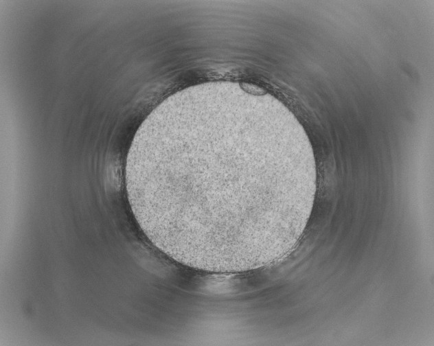 X0000115130090200912081314