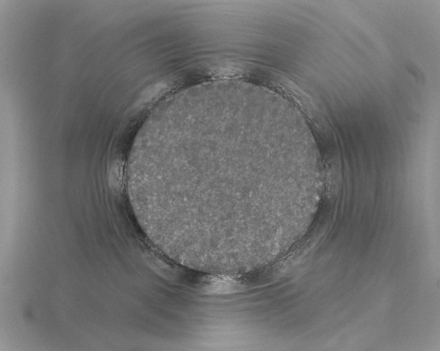 X0000115130093200912081314