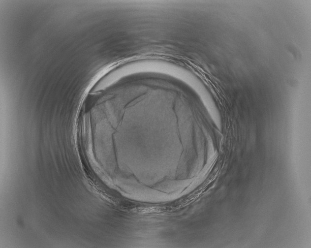 X0000115130100200912081313