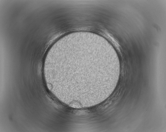 X0000115130107200912081313