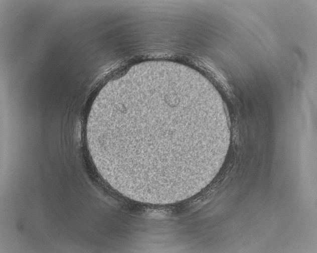 X0000115130115200912081313