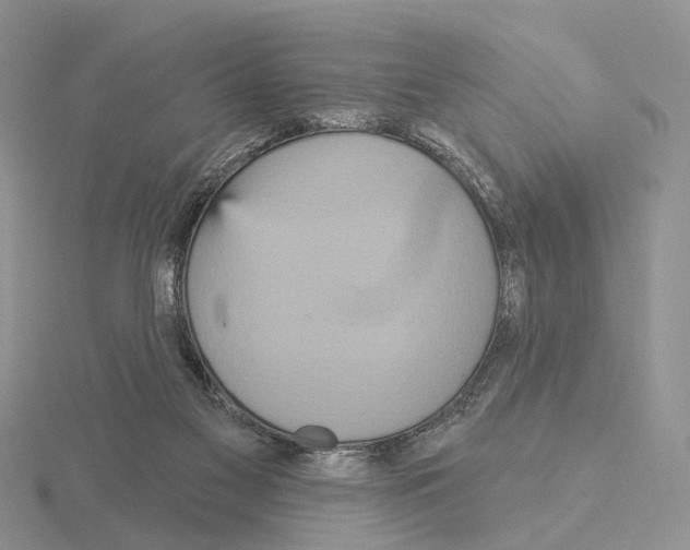 X0000115130117200912081313