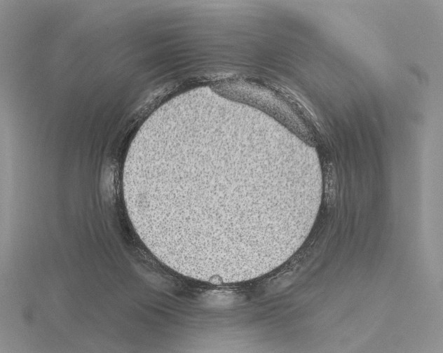 X0000115130119200912081313