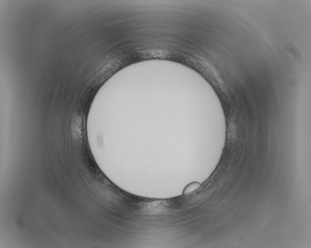 X0000115130122200912081313
