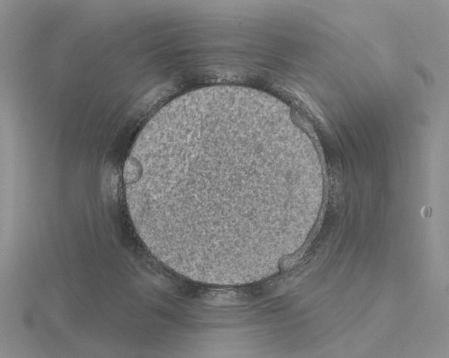 X0000115130123200912081313