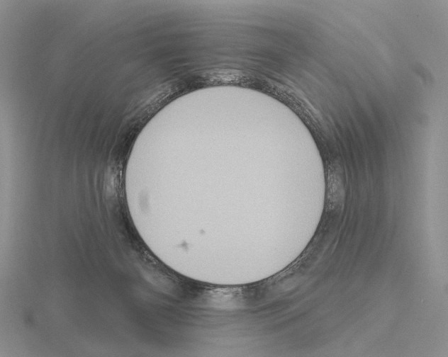 X0000115130126200912081313