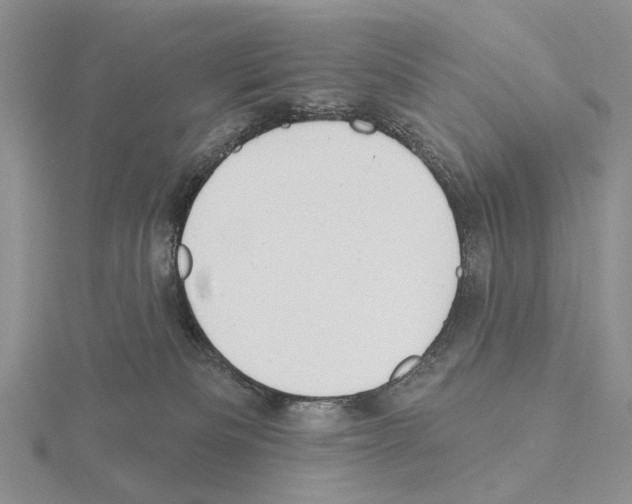 X0000115130133200912081313
