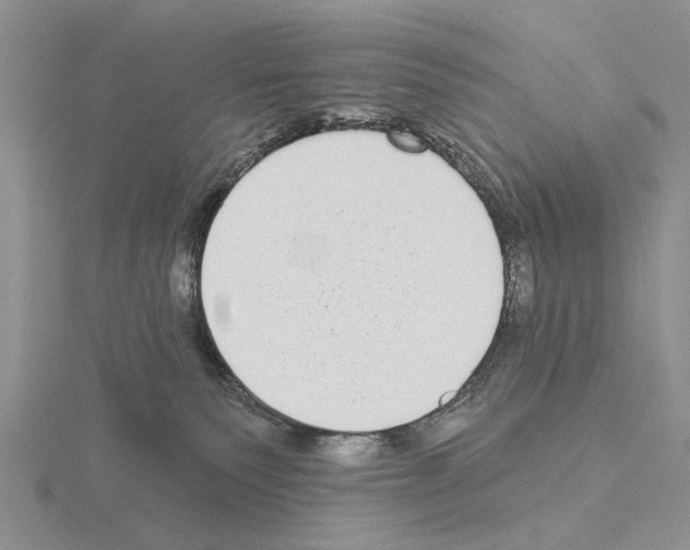 X0000115130135200912081313