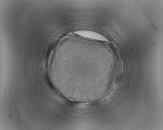 X0000115130136200912081313
