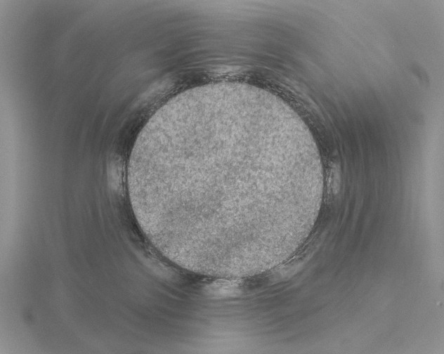 X0000115130138200912081313
