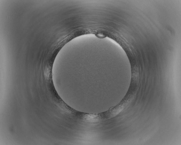 X0000115130139200912081313