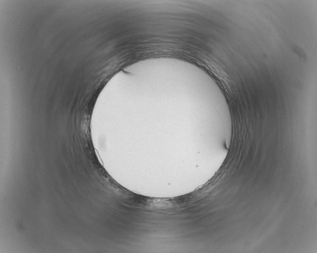 X0000115130141200912081313