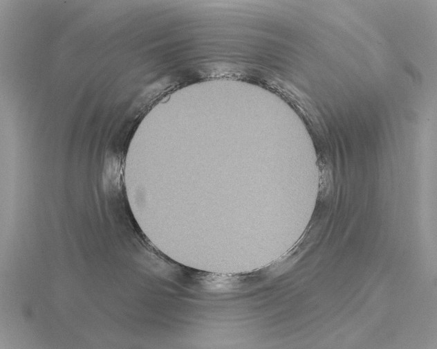 X0000115130142200912081313