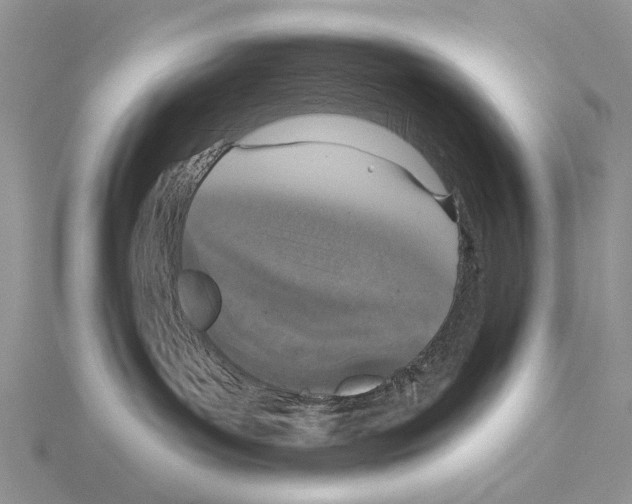 X0000115130143200912081313