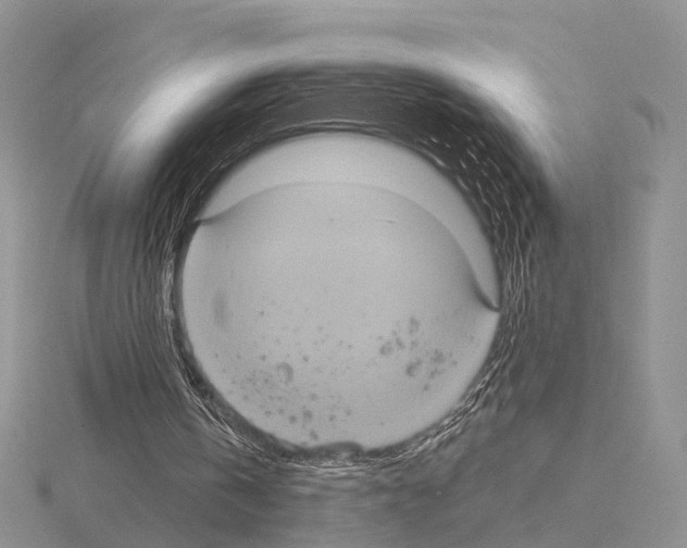 X0000115130146200912081312
