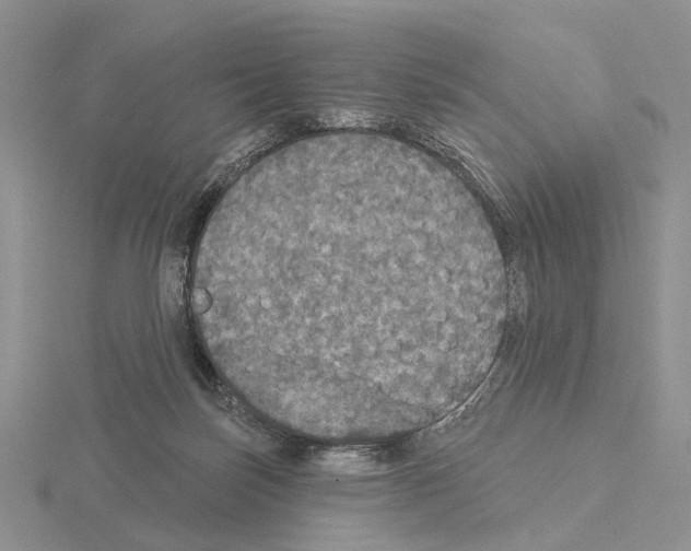 X0000115130171200912081312