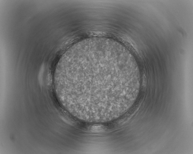X0000115130173200912081313