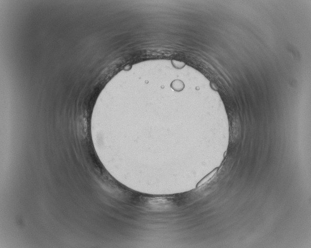 X0000115130183200912081313